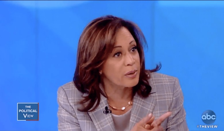 VIDEO: Kamala Harris Says Crossing Border Illegally Shouldn't Be a Crime