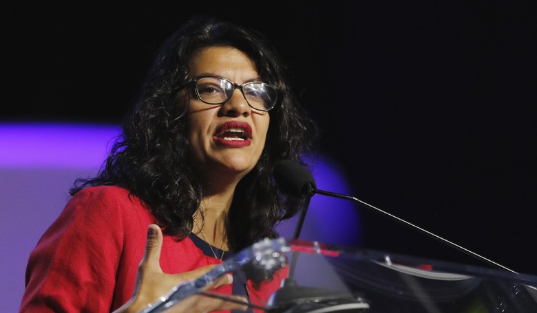 Rashida Tlaib to Abortion Opponents: 'You Shouldn't Even Want to Have Sex With Me'