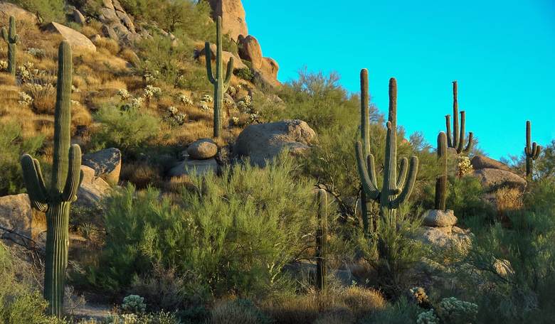 NY Times Discovers Desert Summer Is Hot, Blames Climate Change