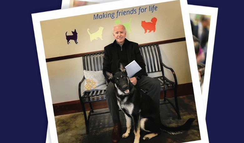Joe Biden's Latest Pitch to Voters: He Owns a Dog—and Trump Doesn't