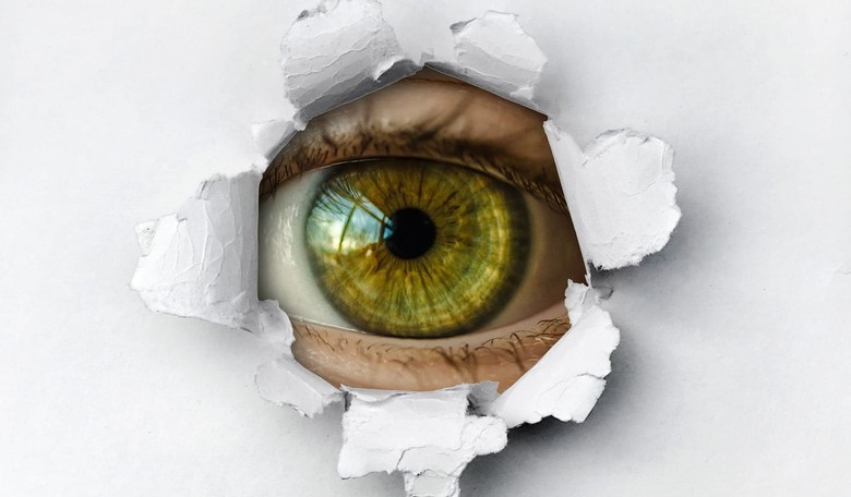 'Anonymous' and the Whistleblower: DC's Epidemic of Cowardice
