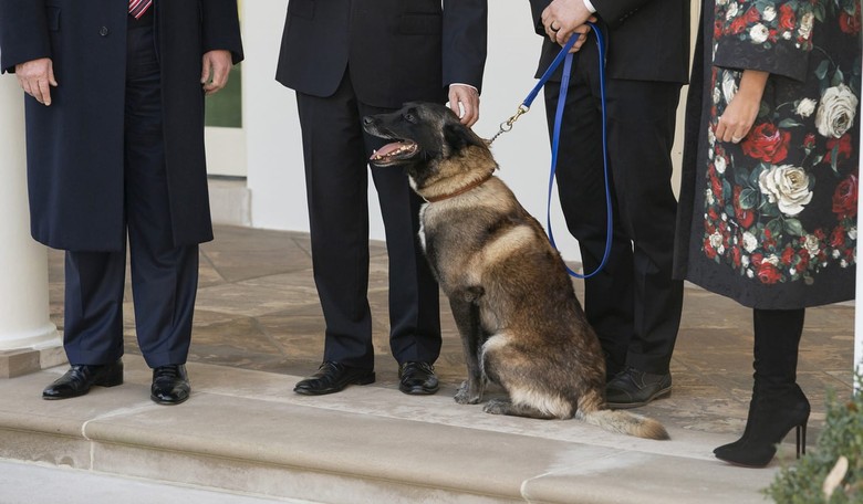 Trump Under Fire for Using Male Pronouns to Describe Conan the Hero Dog