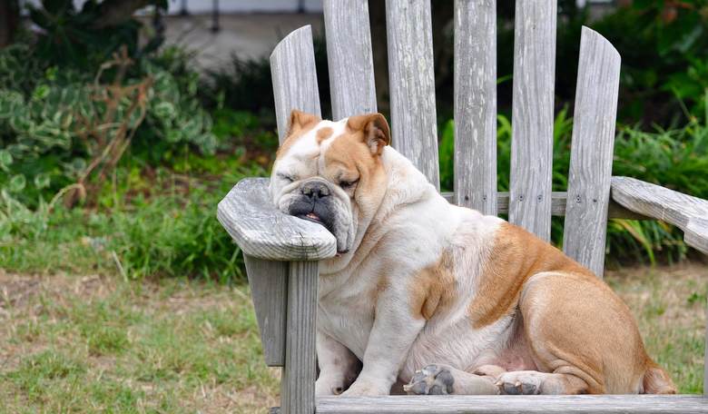 The Morning Briefing: Food Coma Friday Roundup