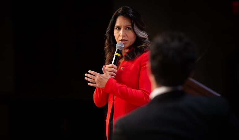 Tulsi Gabbard Sounds Off on 'Power Elite': They 'Downplayed the Threat of ISIS and al-Qaeda'