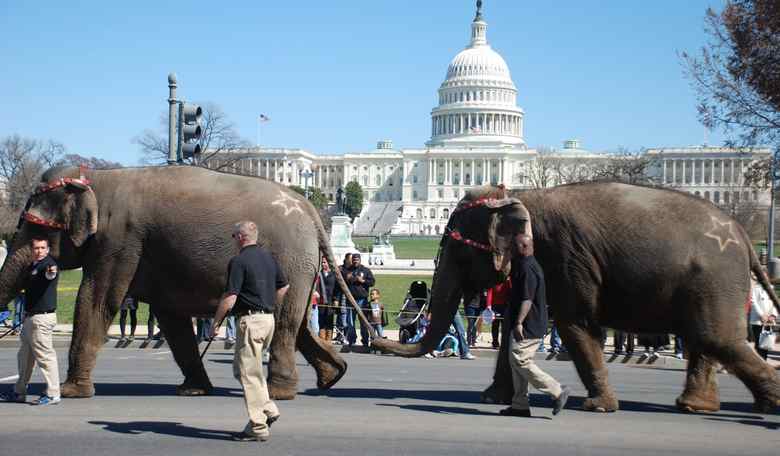 Dishonest Witness Pam Karlan, Latest Act at Impeachment Circus