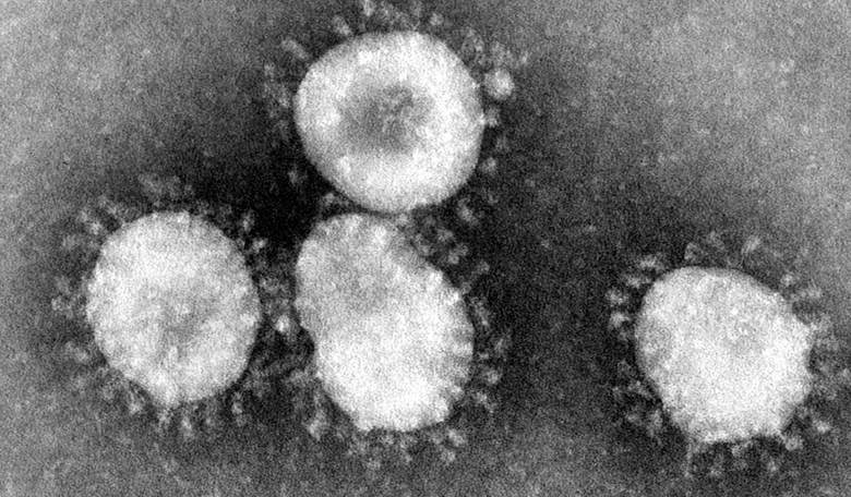 The Giant Institution vs. the Virus