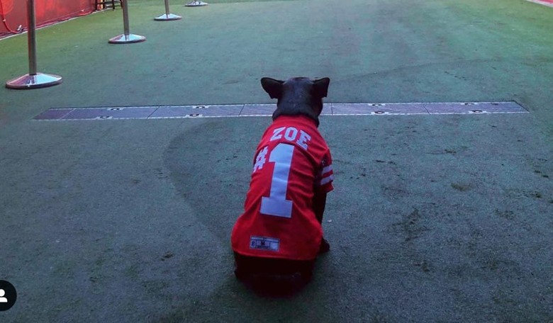 Think the NFL's Gone Soft? Meet The League's First Emotional Support Dog.