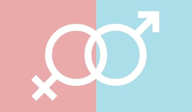 Science Says There Are Only Two Genders, No Gender 'Spectrum'