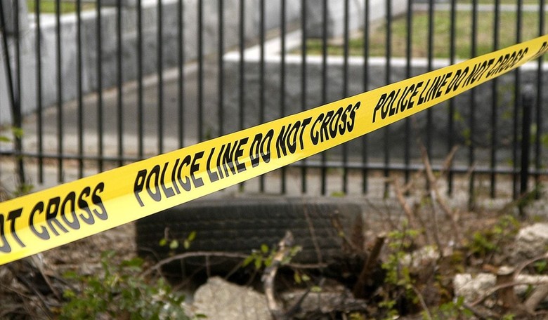Whose Public Safety? During COVID-19, Some Cops Stop Arresting for Assault, Manslaughter, Theft and ...