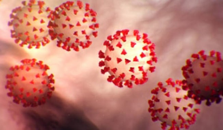 Why Is the CDC Lowballing Numbers for the Coronavirus?