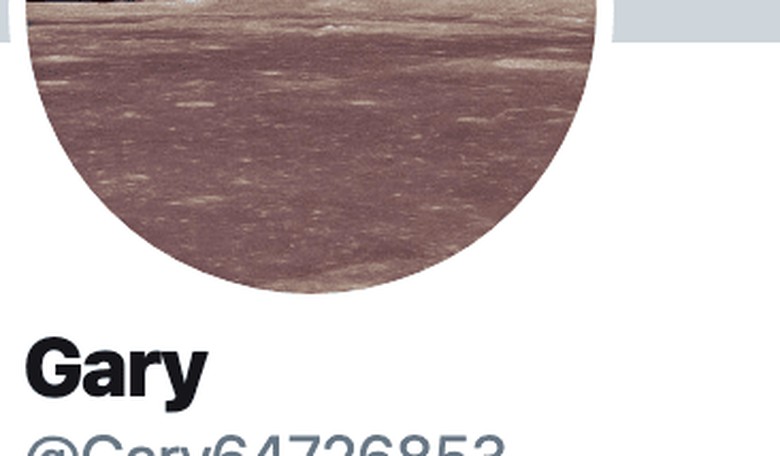 How to Spot a ChiCom Twitter Troll