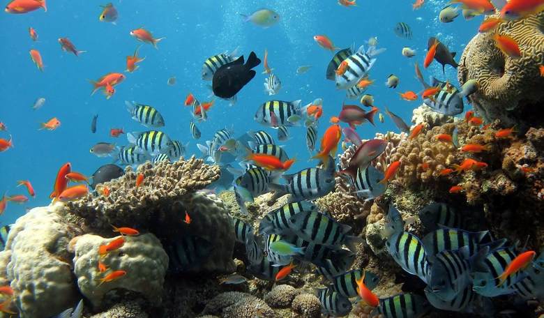 Police Investigating Death of Man Whose Wife Said She Gave Him Aquarium Cleaner Because Trump Said It Cured Coronavirus