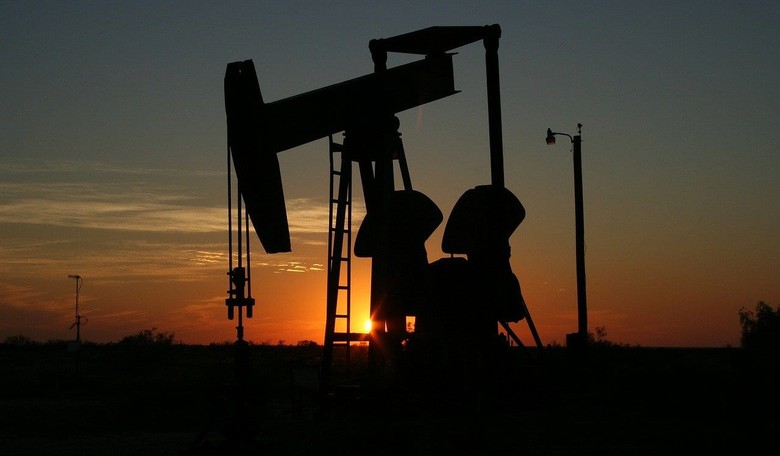 How Oil Saves the Whales (and May Save Us All)