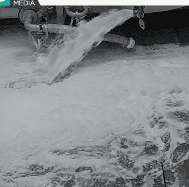 Why Are Dairy Farmers Being Forced to Dump Millions of Gallons of Milk