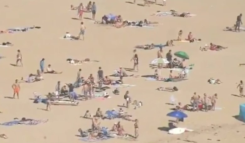 California Beaches Not as Crowded as They Appear, Thanks to Fake News Jacksonville Treatment