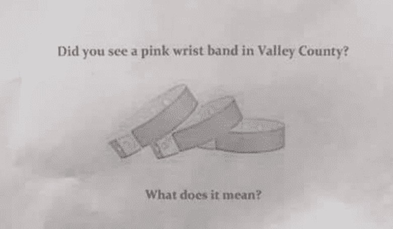Montana County Orders Residents to Wear Mandatory Pink Wristbands in Order to Shop — Or Get Reported to Police