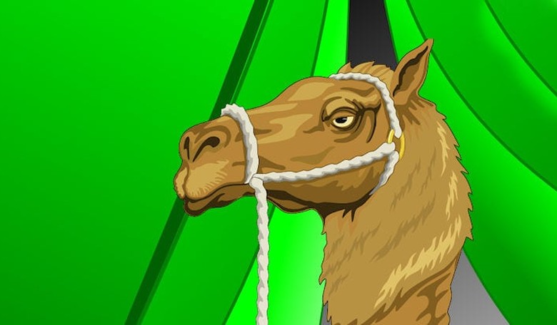 The Green New Nose Under the Tent