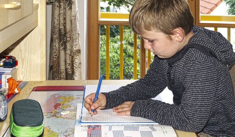 Harvard Law Prof Calls for Ban on Homeschooling, Saying It's 'Dangerous' to Leave Children with Their Parents 24/7