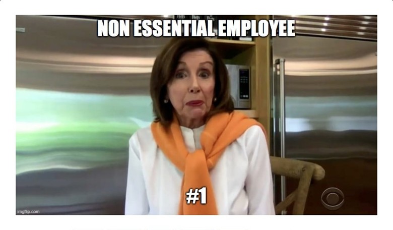 Pelosi Is Now 'Non-Essential Nancy.' Here Are 20 Jobs More Important Than Hers.