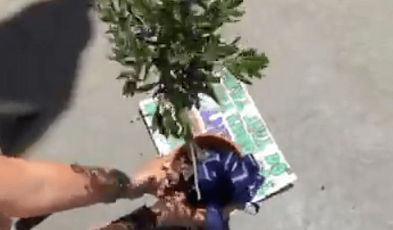 Calif. Highway Patrol Refuses to Accept Olive Branch From Protesters They Roughed Up and Arrested