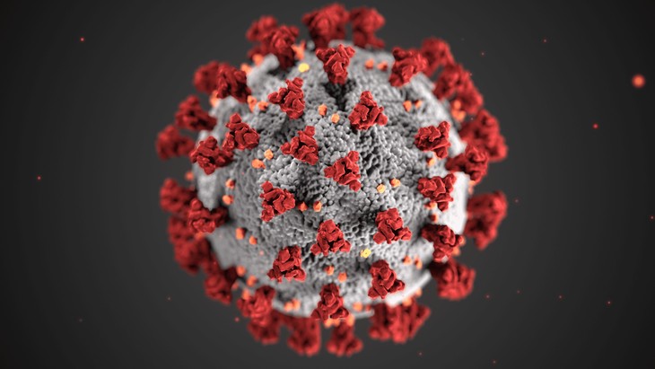 CDC image of the Coronavirus.