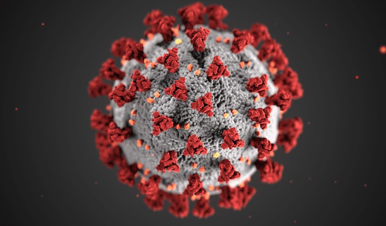 Report: 11 Members of Secret Service Test Positive for Coronavirus