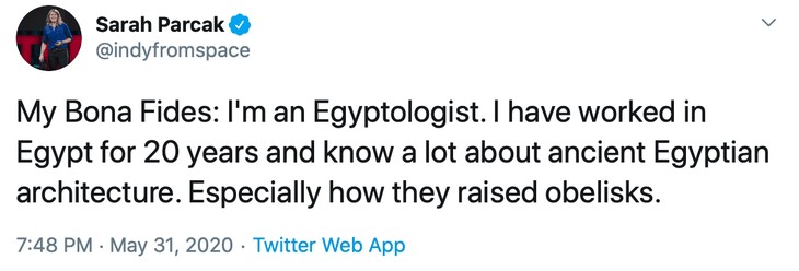 Parcak, Egyptologist