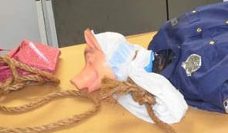 'My Heart Completely Dropped' -- Man Finds Mannequin Dressed as Police Officer With Pig Head Hanging from Florida Bridge