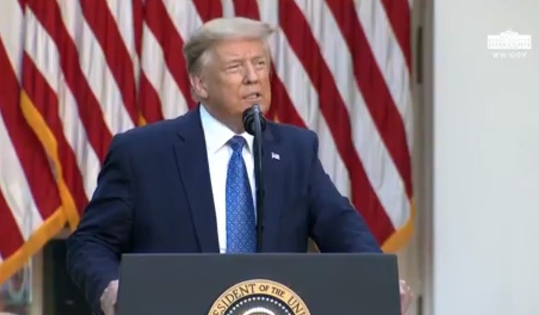 VIDEO: Trump Addresses Riots From the Rose Garden: 'America Needs Creation, Not Chaos'