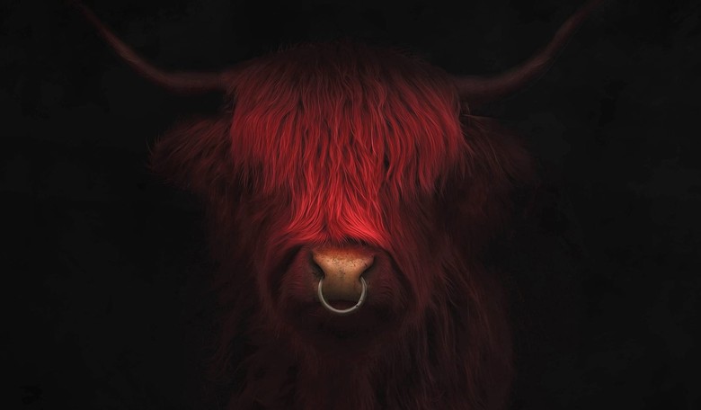 Insanity Wrap #8: Racist Red Bull Map Gets Execs Fired, Plus Savage Airport Race Brawl