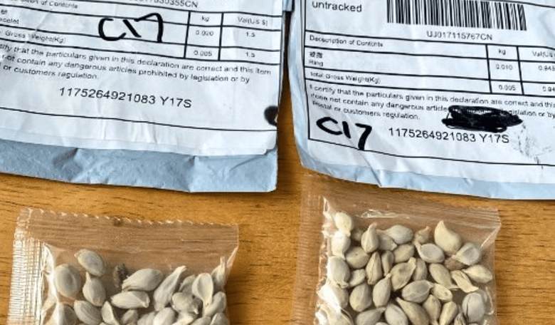 Mysterious Seed Packets from China Are Showing Up in U.S. Mailboxes: 'Treat Them Like They Are Radioactive,' Officials Warn