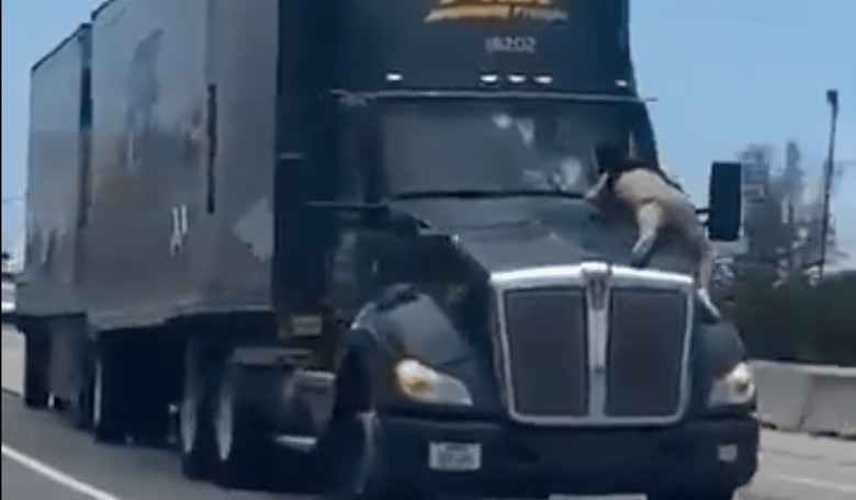 Florida Man Friday: Supercharged Truck Attacker Goes Full T.J. Hooker