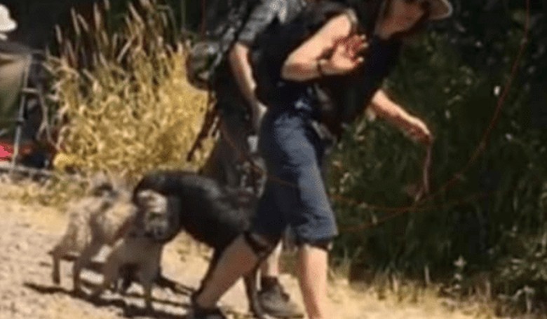 Oregon Governor Caught Violating Her Own Mask Order