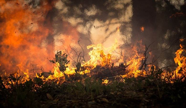 The Fire History Tried to Forget: Peshtigo and the Cost of Selective Memory