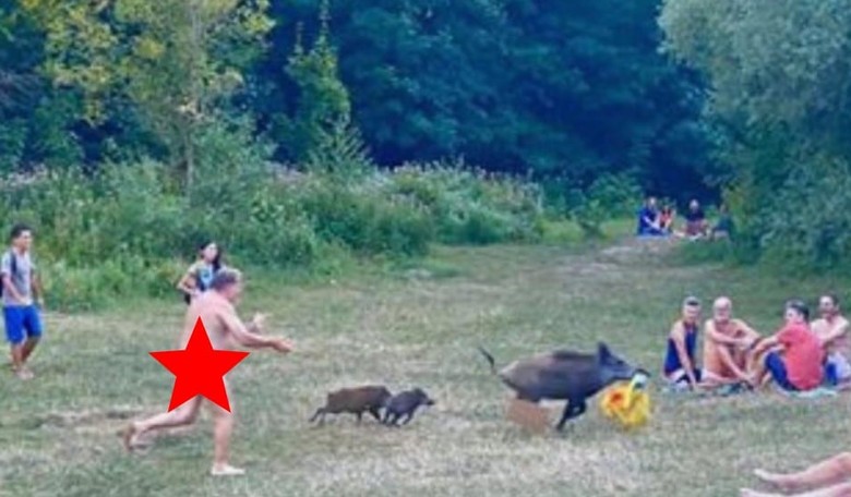 German Nudist Chases Wild Boar That Stole His Laptop