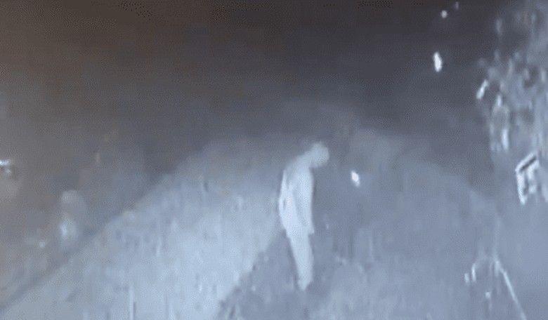 [WATCH] Man Caught Urinating on Trump Yard Sign Got More Than He Bargained For
