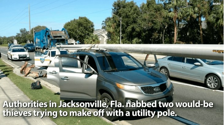 Florida Man Steals Utlity Pole