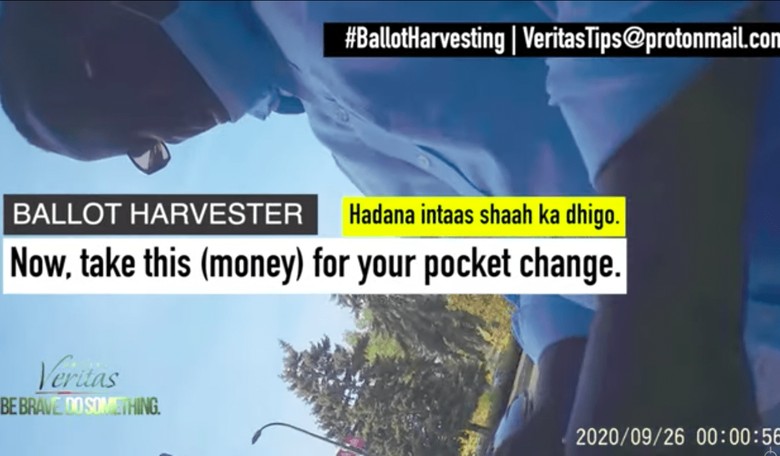 Ballot Harvester in Ilhan Omar's District: 'I Have Forty People,' Pay $800 Per Ballot