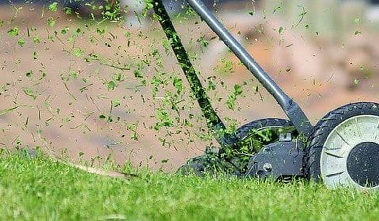 Insanity Wrap #53: Your Racist Lawnmowing Has Got to Stop