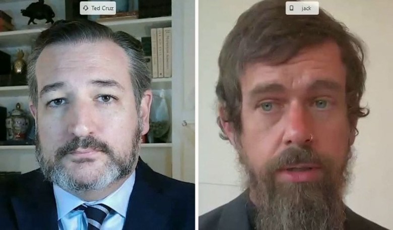 SPEECH POLICE: Fiery Ted Cruz Asks Smug Twitter CEO Jack Dorsey, 'Who the Hell Elected You?'