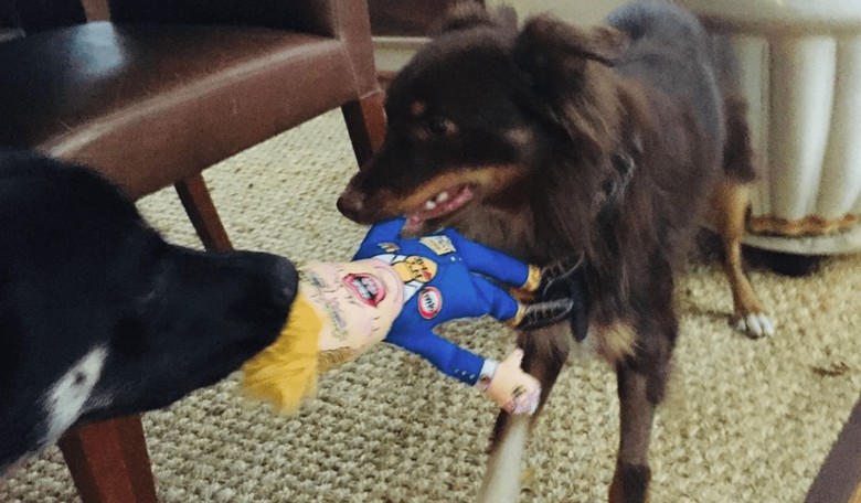 So Much for Unity: Naomi Biden Snaps Pics of Dogs Biting a Donald Trump Chew Toy