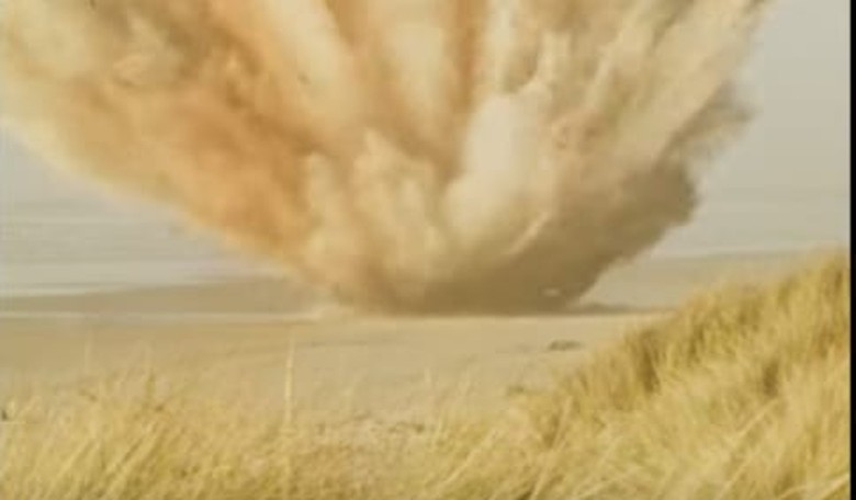 50th Anniversary of the Funniest Thing That Ever Happened--Oregon's Exploding Whale