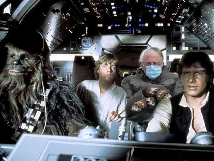 Bernie Mittens Star Wars