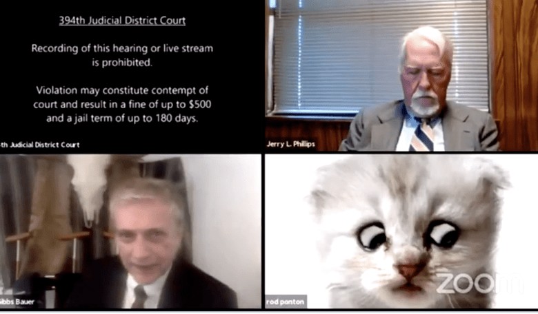 Lawyer Argues Before Judge as a Cat in Hilarious Zoom Fail