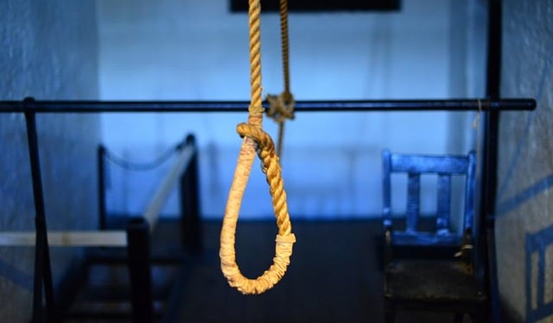 Insanity Wrap #168: Journalism Wasn't Murdered, It Committed Suicide