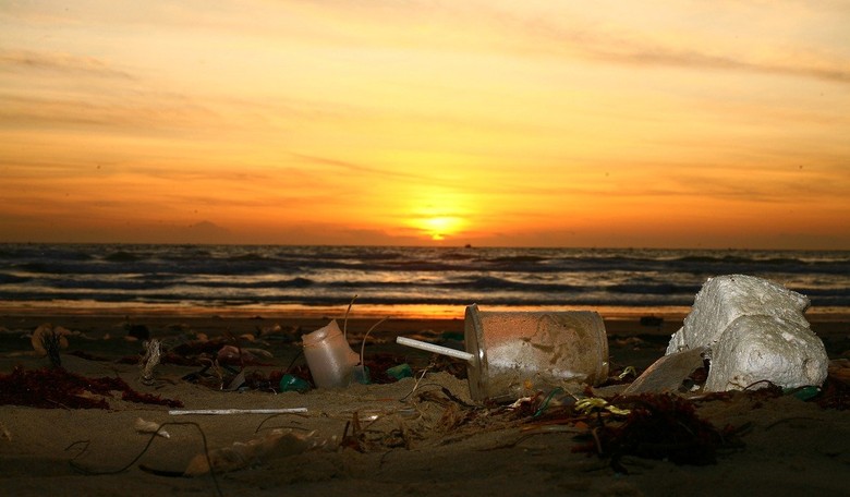 Clean Seas: A Future-Tech Way to Keep the Oceans Blue