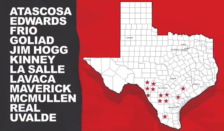 12 Texas Counties Declare Emergencies as the Border Crisis Worsens