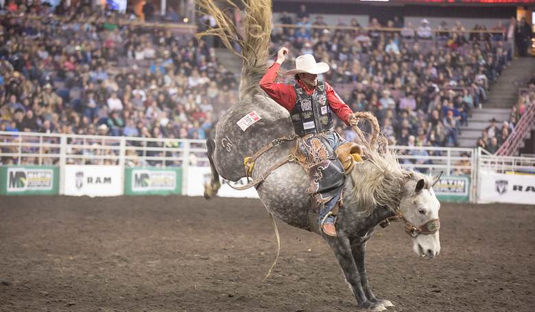 Bronc Busting, Canada Style