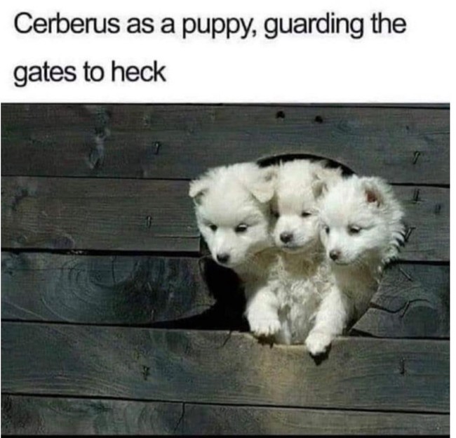 Cernerus As a Puppy