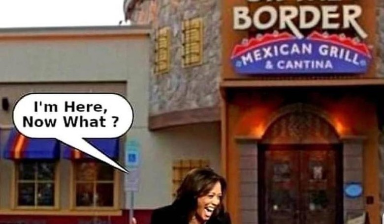Democrats Offer Free Money to Illegal Aliens to Buy Houses — and an Election